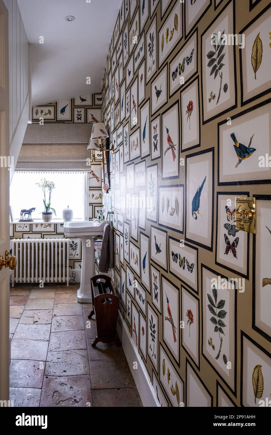 Bathroom papered with birds and botanical prints in18th century Grade II listed Suffolk country house, UK Stock Photo