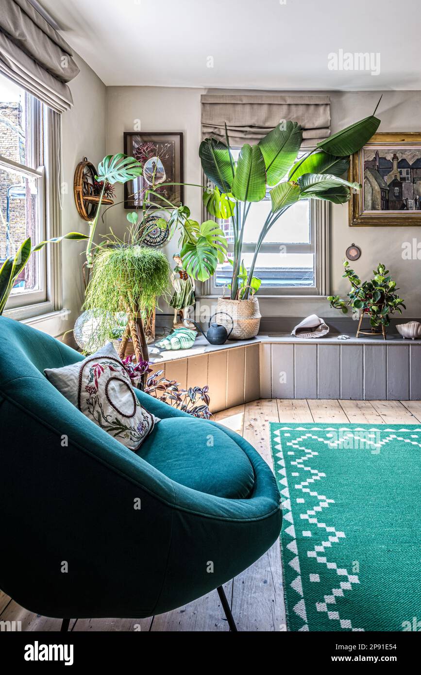 Collection of objects and plants in updated 19th century coastal home, Herne Bay, Kent, UK Stock Photo
