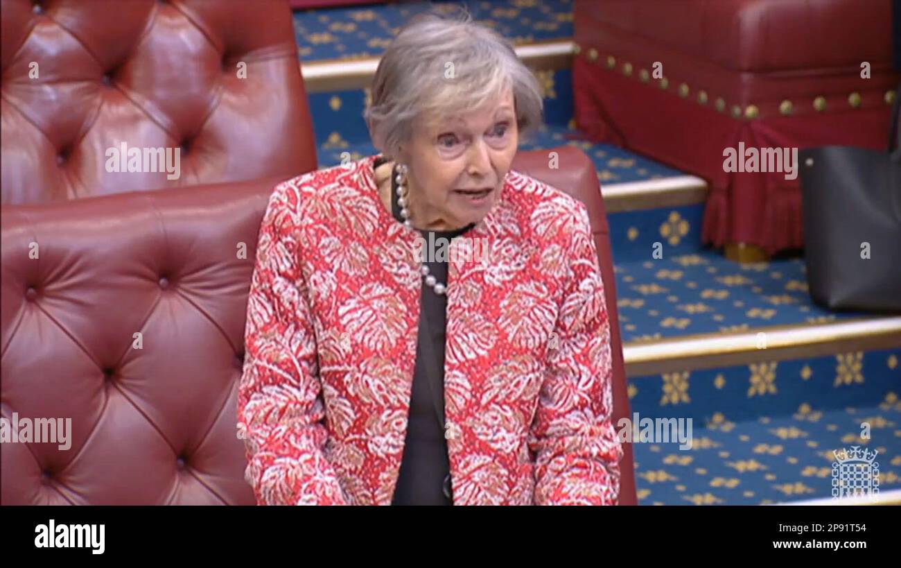 Conservative peer Baroness speaking in the House of Lords