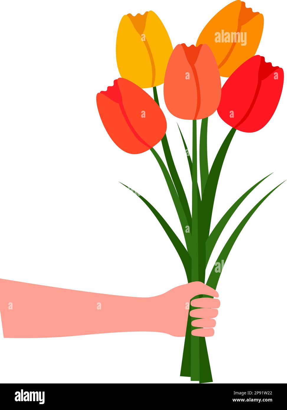 Flat style illustration with bouquet of tulip flowers in hand drawing ...