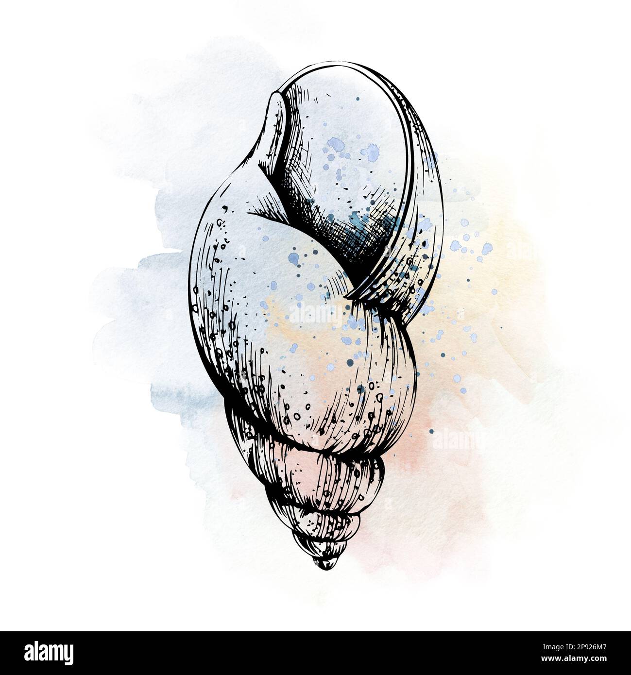 Sea shell spiral on the background of blue and coral accident stains ...