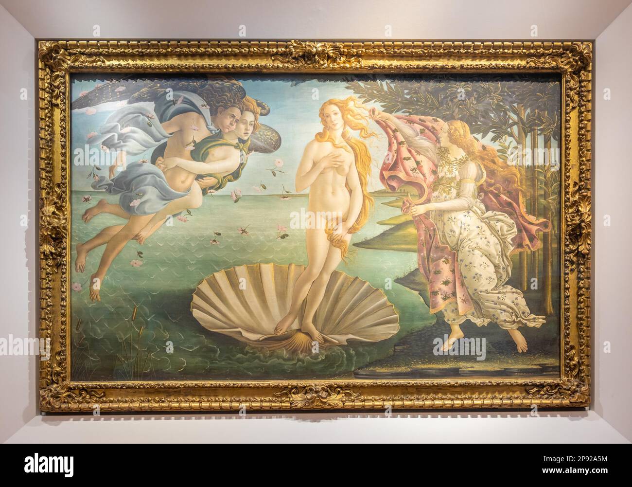 Florence, Italy - circa July 2021. Alessandro Botticelli - The Birth of Venus, 1485. Renaissance art in Uffizi Museum Stock Photo