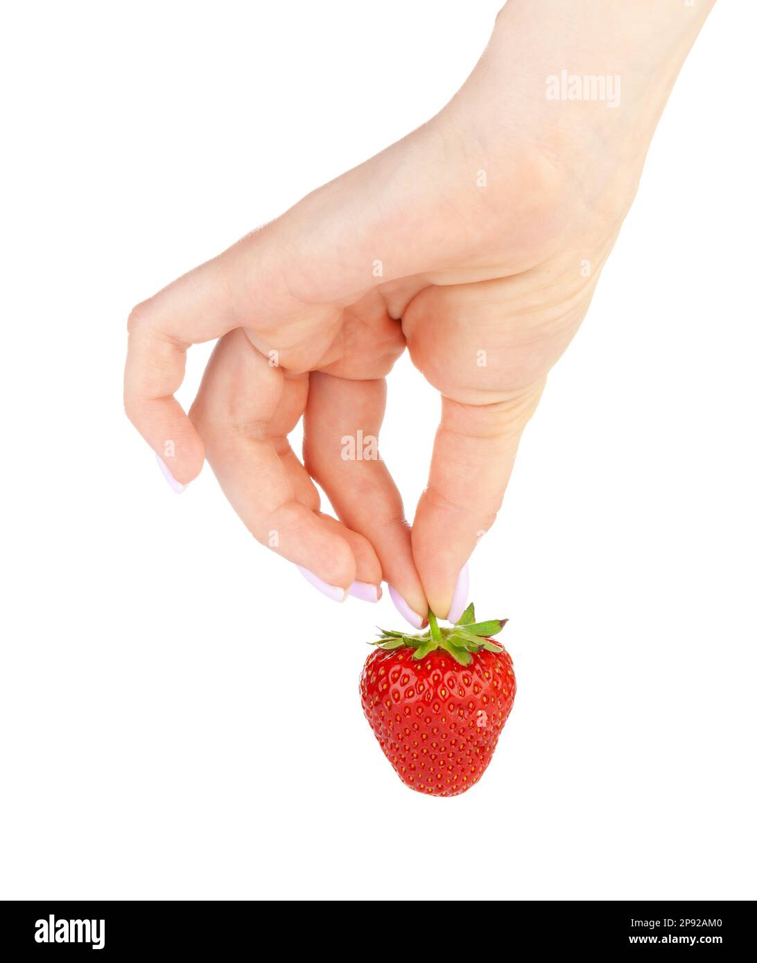 hand holding a strawberry isolated on white background Stock Photo - Alamy
