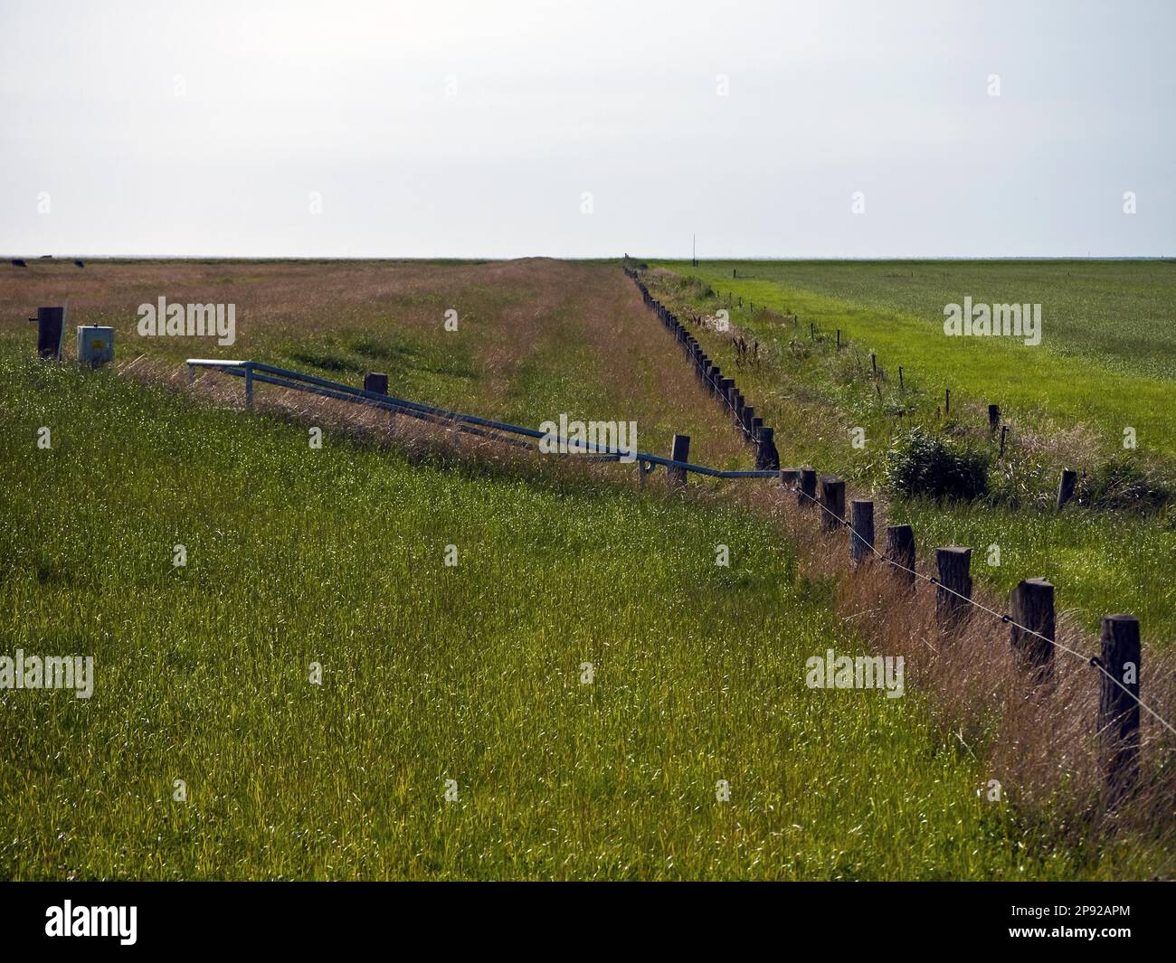 Land reclamation near Dorum, Cuxhaven County, Germany Stock Photo
