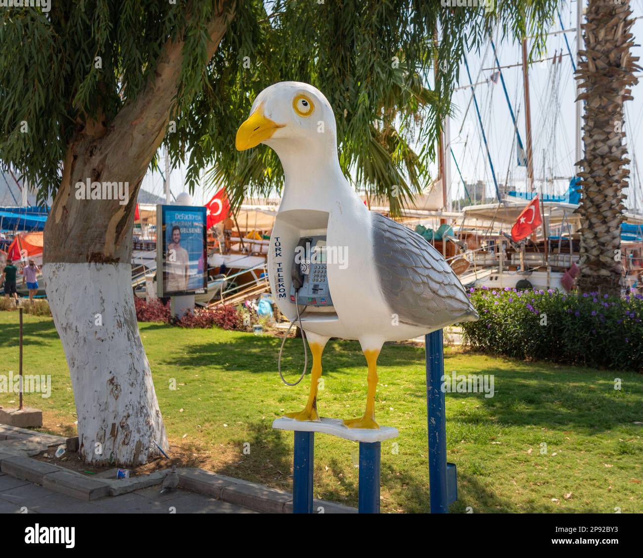 gull phone, Boidrum, Turkey Stock Photo
