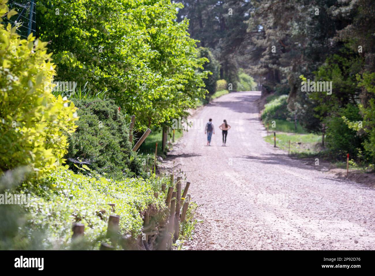 Pathway surrounded by trees hi-res stock photography and images - Alamy