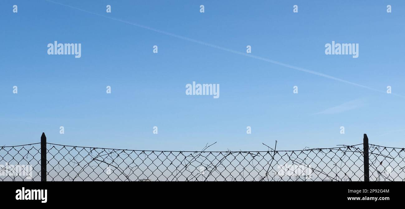 blue sky beyond a metal wire mesh fence Stock Photo - Alamy