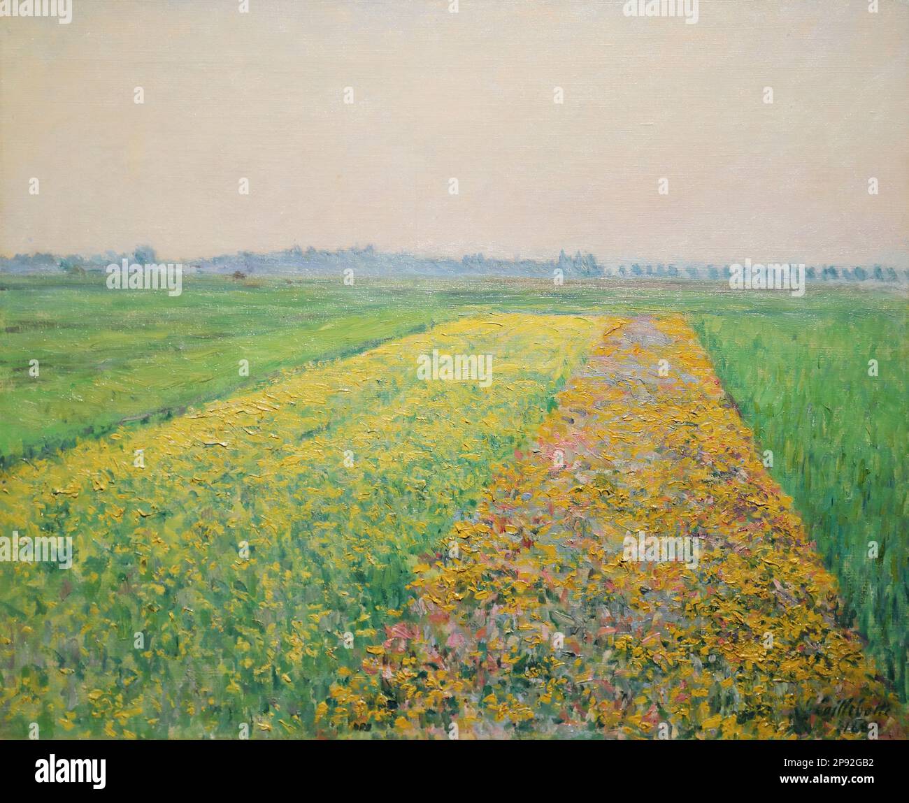 Die Ebene von Gennevilliers, gelbe Felder (The Yellow Fields at Gennevilliers) by French Impressionist painter Gustave Caillebotte at the Wallraf-Richartz Museum, Cologne, Germany Stock Photo