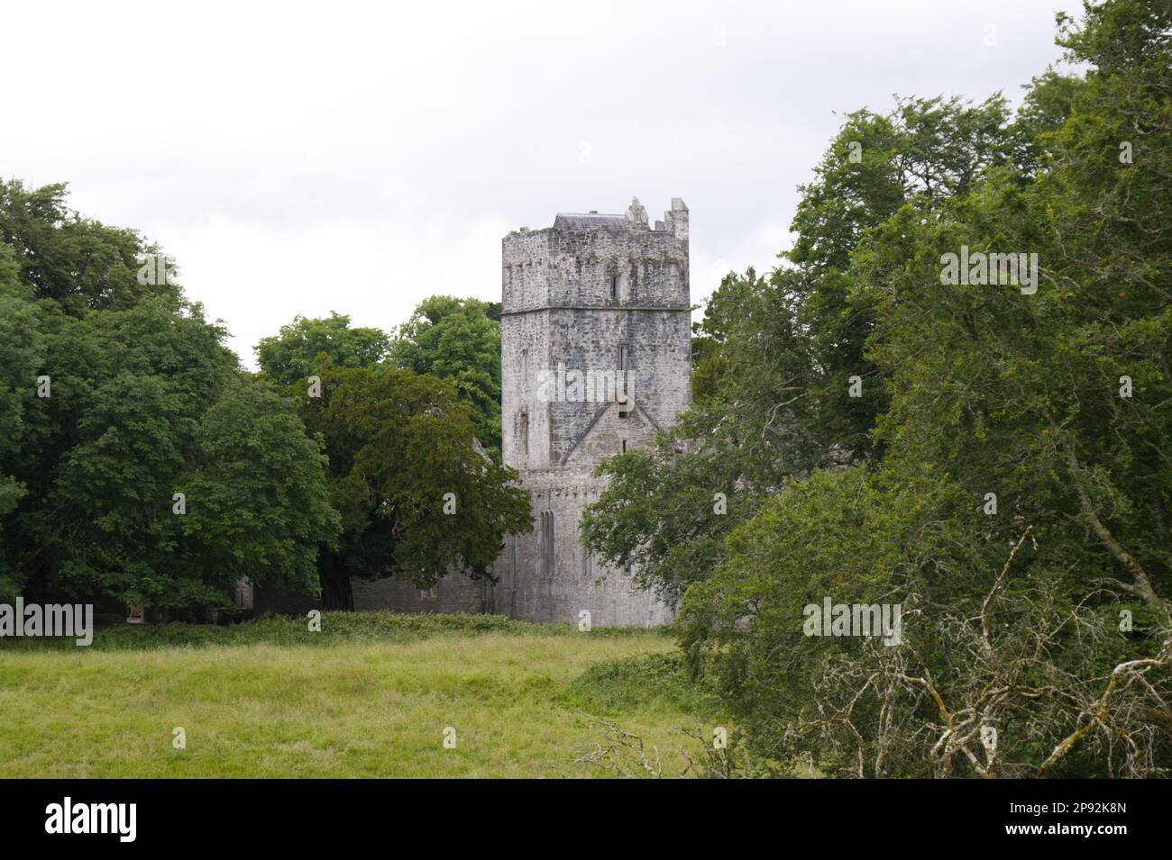 friary Ruins of Muckross Abbey, Killarney National Park co Kerry EIRE Stock Photo