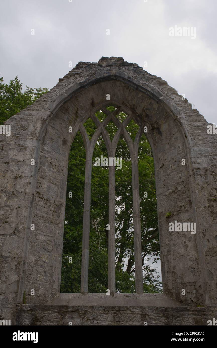 friary window in ruins of Muckross Abbey, Killarney National Park co Kerry EIRE Stock Photo
