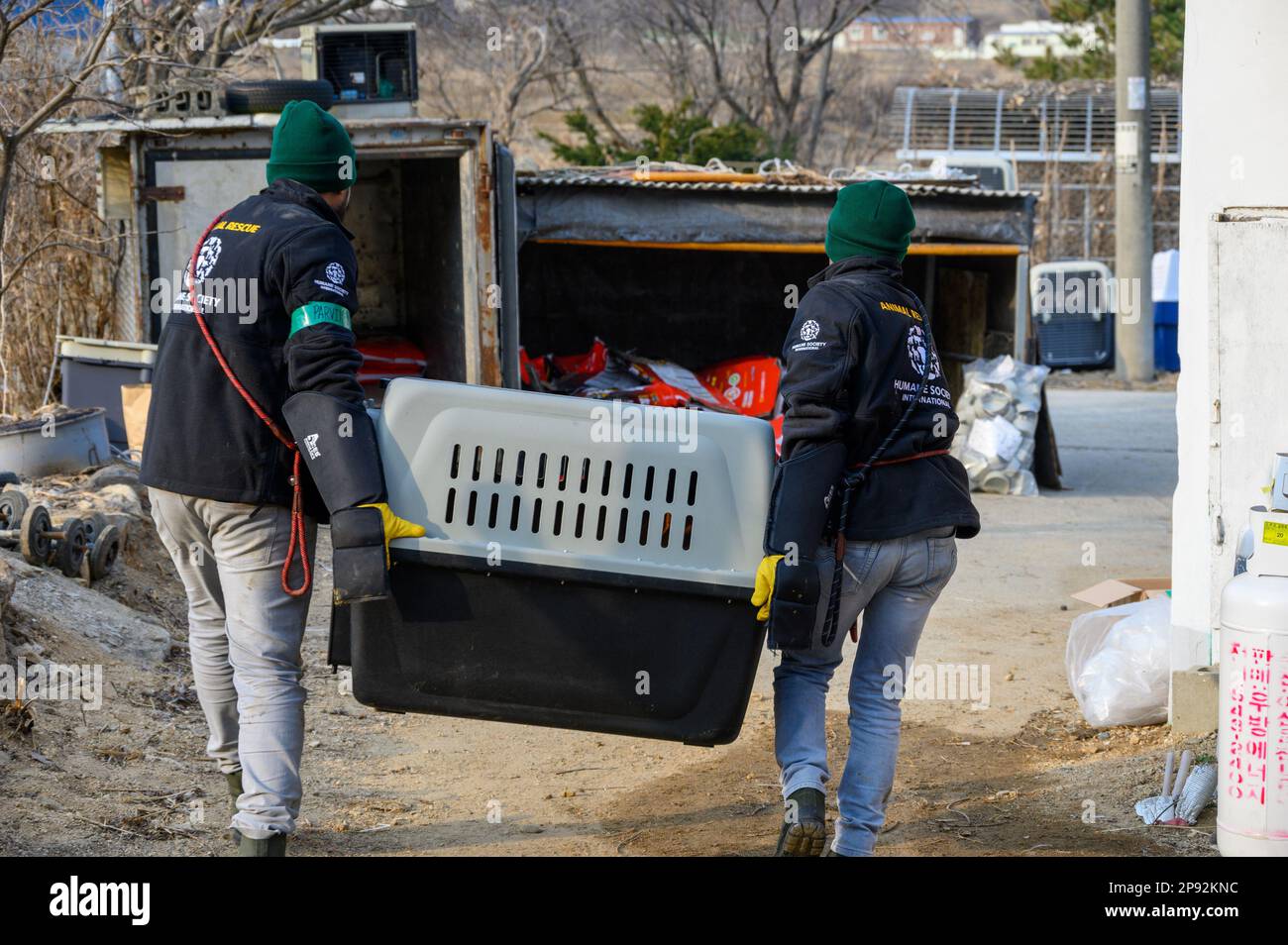 Asan, South Korea. 08th Mar, 2023. Rescue workers from Humane Society International carry a dog in a crate at a dog meat farm in Asan, South Korea, on Tuesday, March 7, 2023. The farm is closing as the dog meat trade continues to decline amid changing social attitudes and health concerns. Photo by Thomas Maresca/UPI Credit: UPI/Alamy Live News Stock Photo