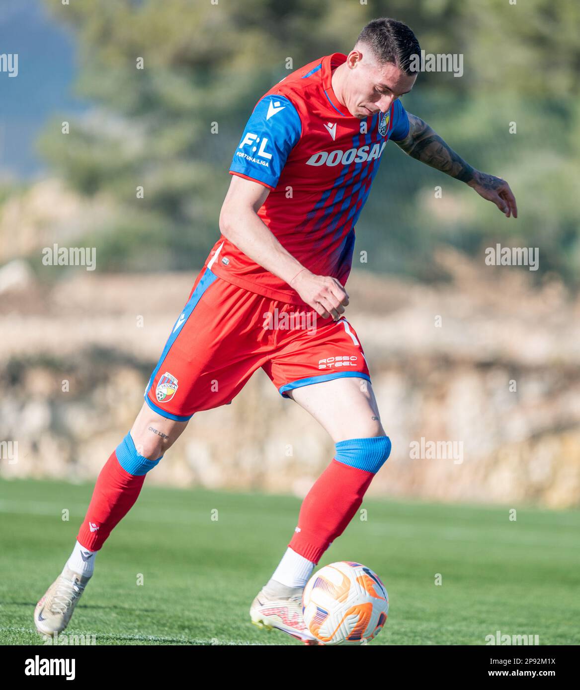 Viktoria Plzeň vs Hamburg, Club Friendly Games