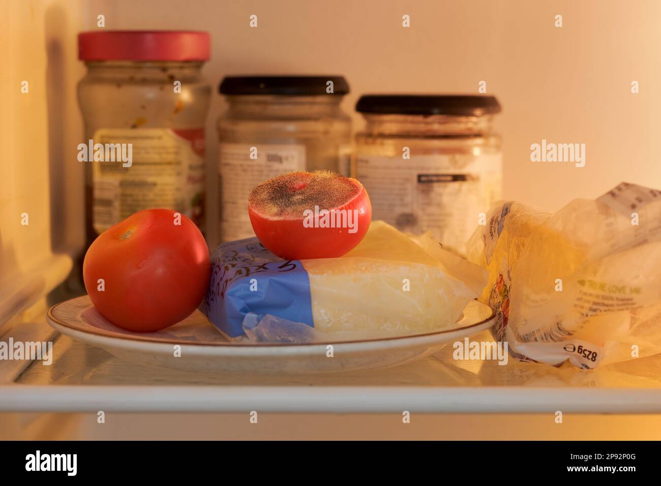 forgotten-food-tomato-on-a-plate-in-fridge-begins-to-decay-having-been-infected-by-a-pin-mold