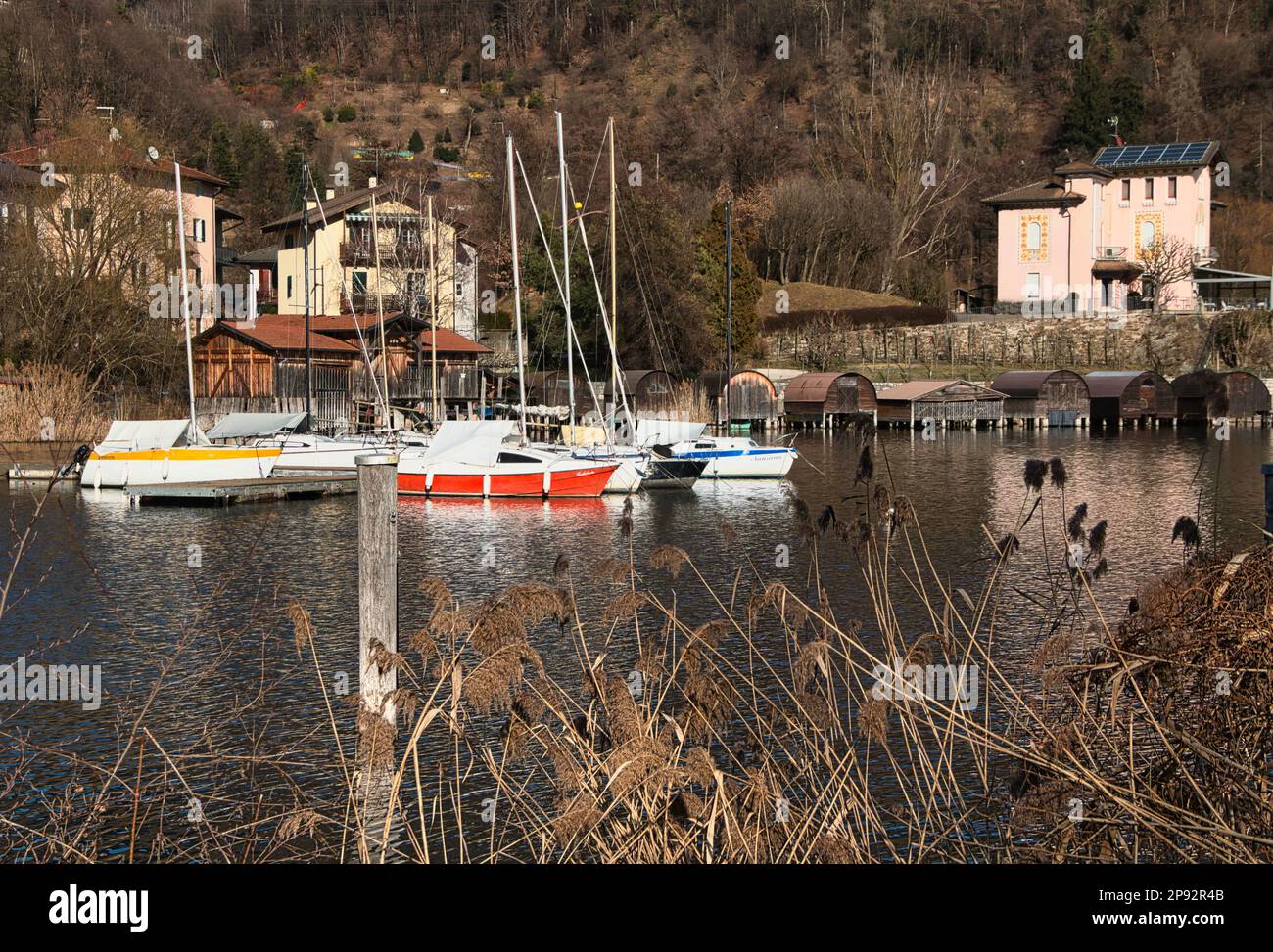 Reed thickets and sailboats on the alpine lake of Caldonazzo, Italy Stock Photo