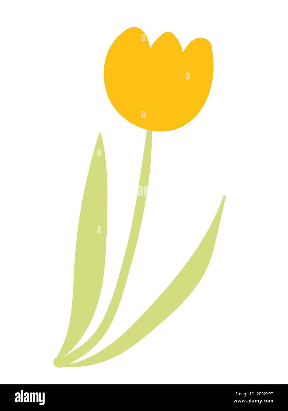 Vector Tuplip Vector tulip illustration Stock Vector Image & Art - Alamy