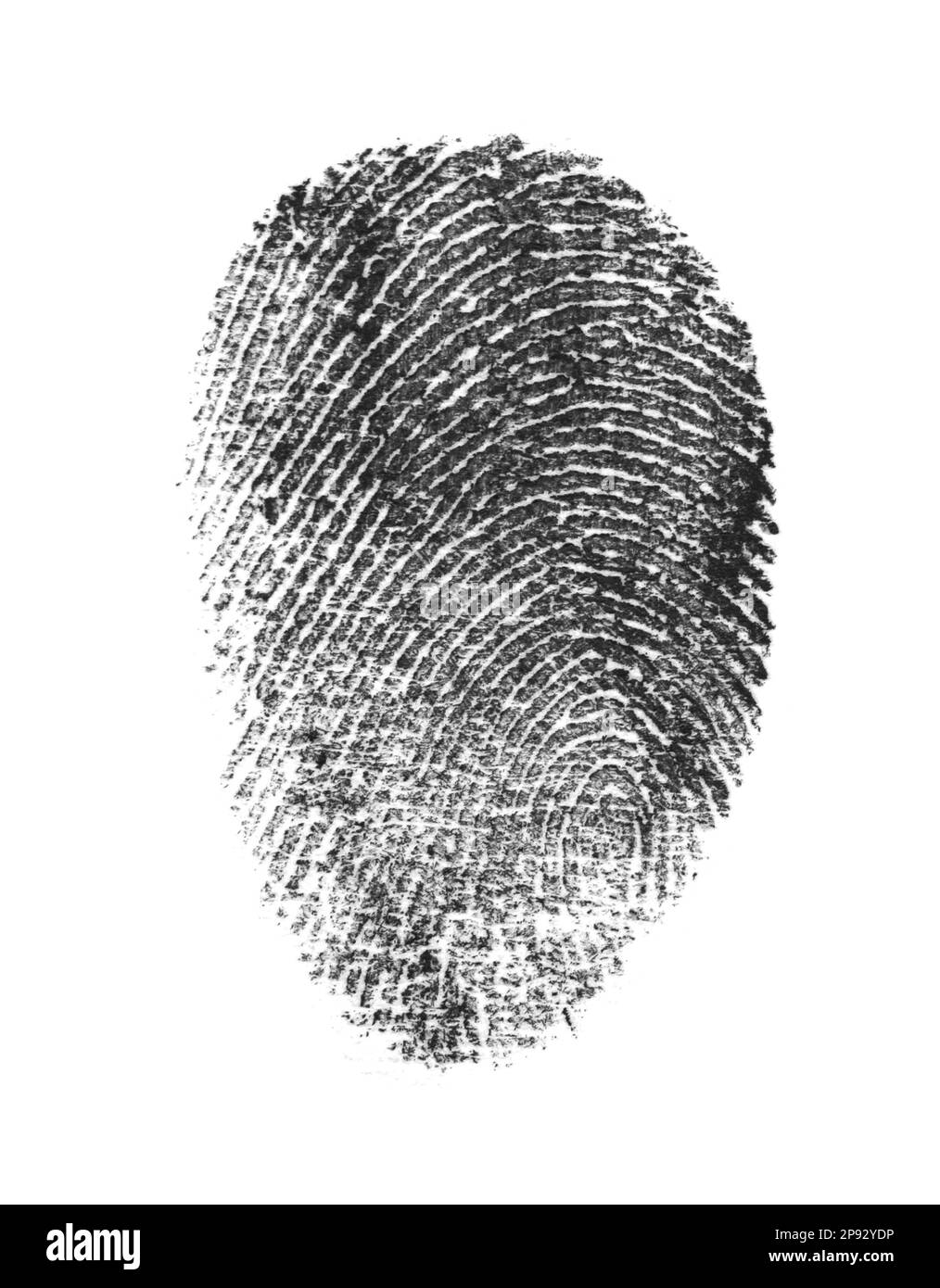 Black fingerprint made with ink on white background Stock Photo Alamy