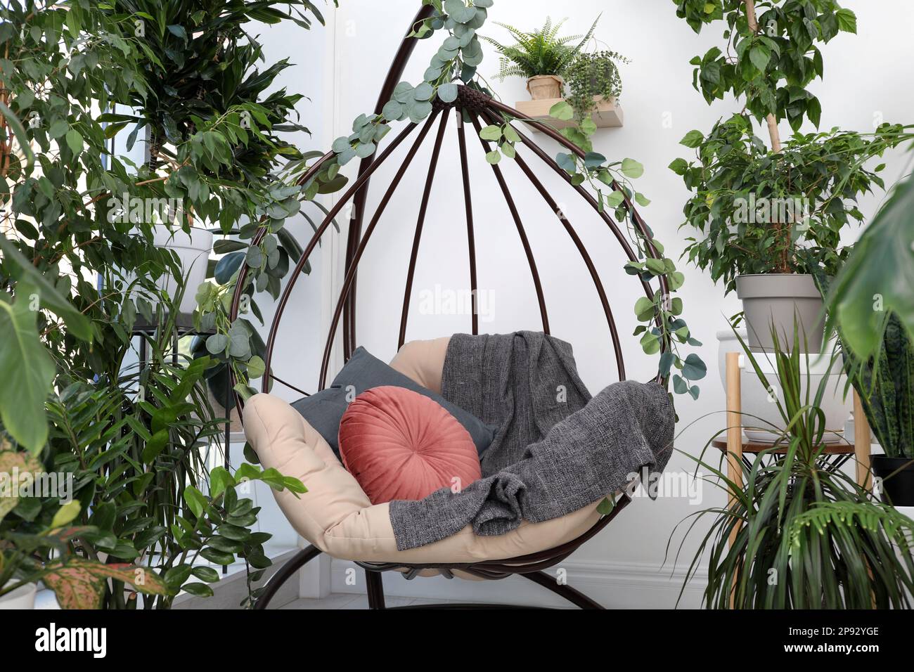 Comfortable egg chair and beautiful houseplants in room. Lounge zone