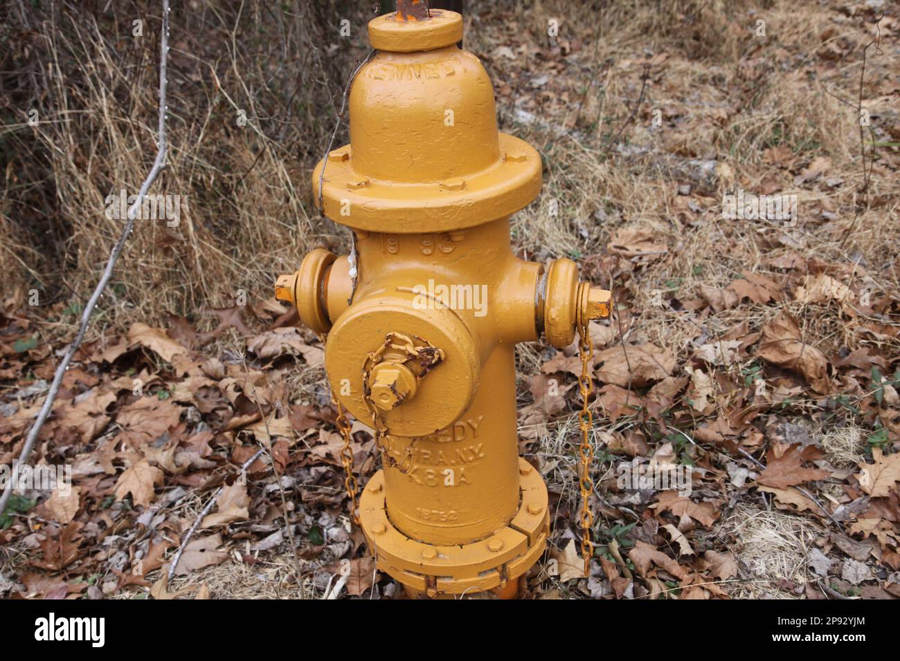 A orange colored fire hydrant sitting amongst the fallen brown leaves on a winter day. Stock Photo