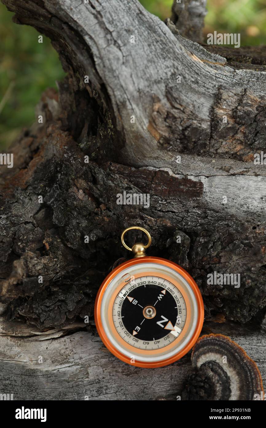 Wood surface with compass hi-res stock photography and images - Alamy