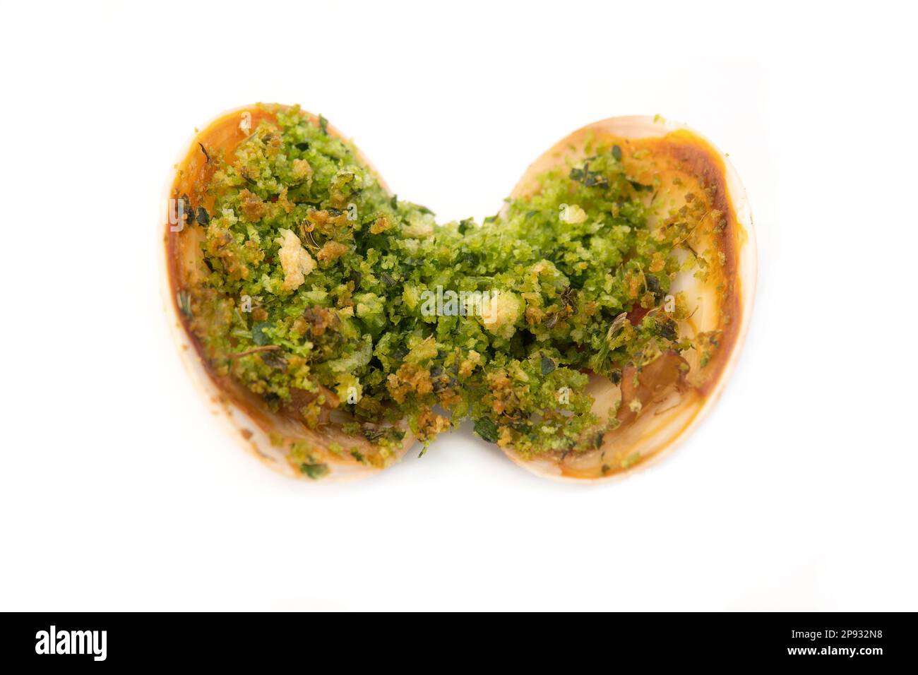Italian "fasolaro gratinato" (Gratin smooth clam) on a white background Stock Photo