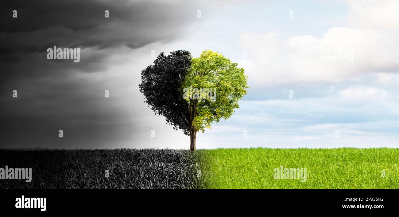 Tree in the shape of heart as an example of climate change to intact ...