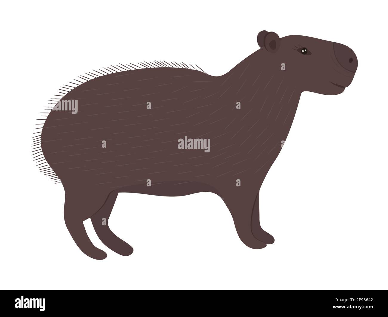 Cute capybara, illustration in brown color Stock Vector
