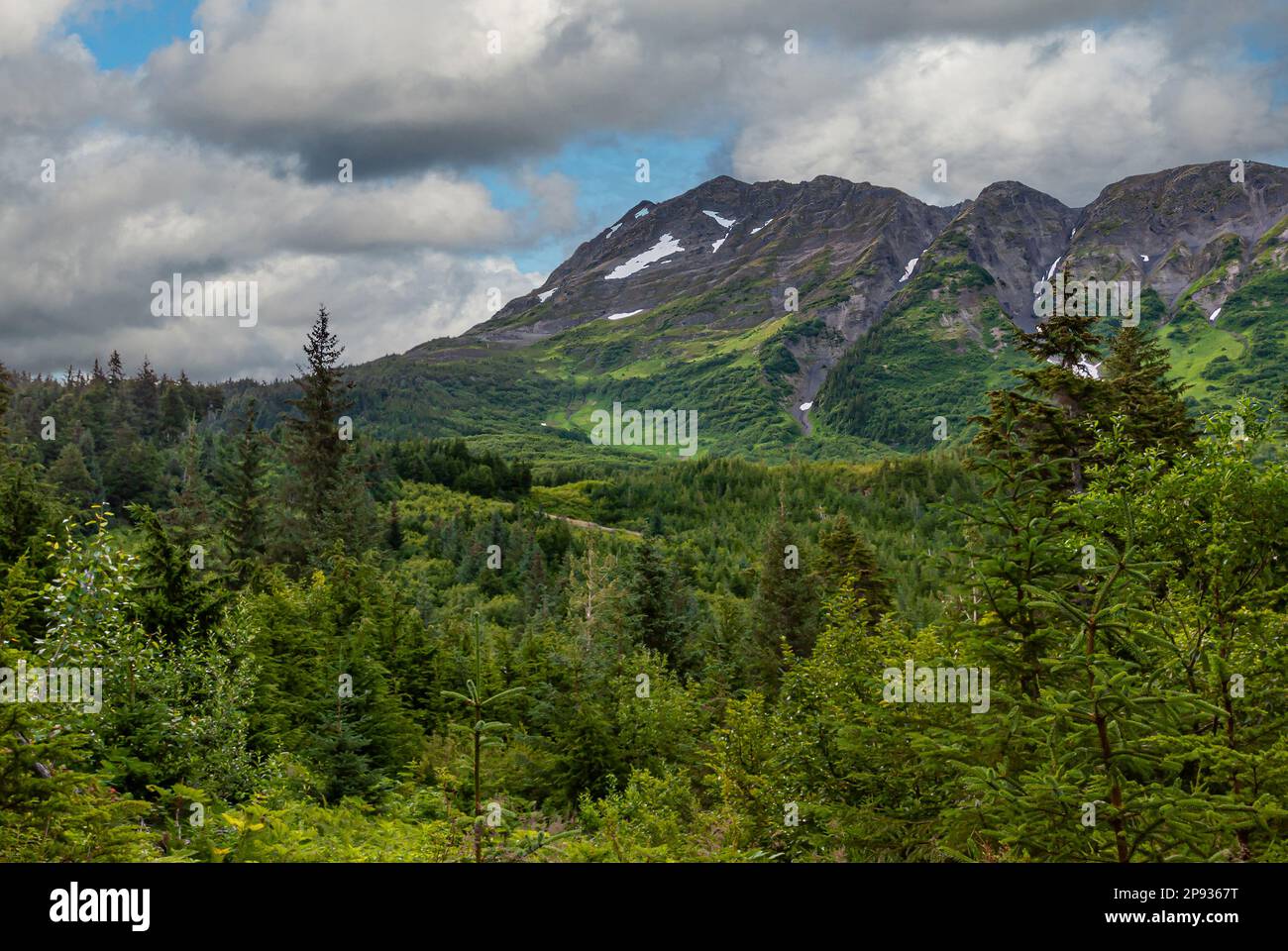 Girdwood Alaska, USA - July 23, 2011: Chugach Park. Thick green forest fronts gray mountain with snow patches under blue coudscape Stock Photo