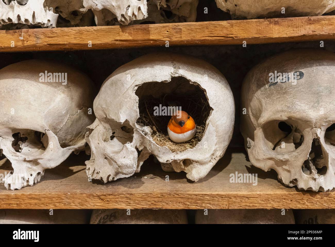 England, Kent, Hythe, St.Leonard's Church, Human Bones in The Crypt Stock Photo