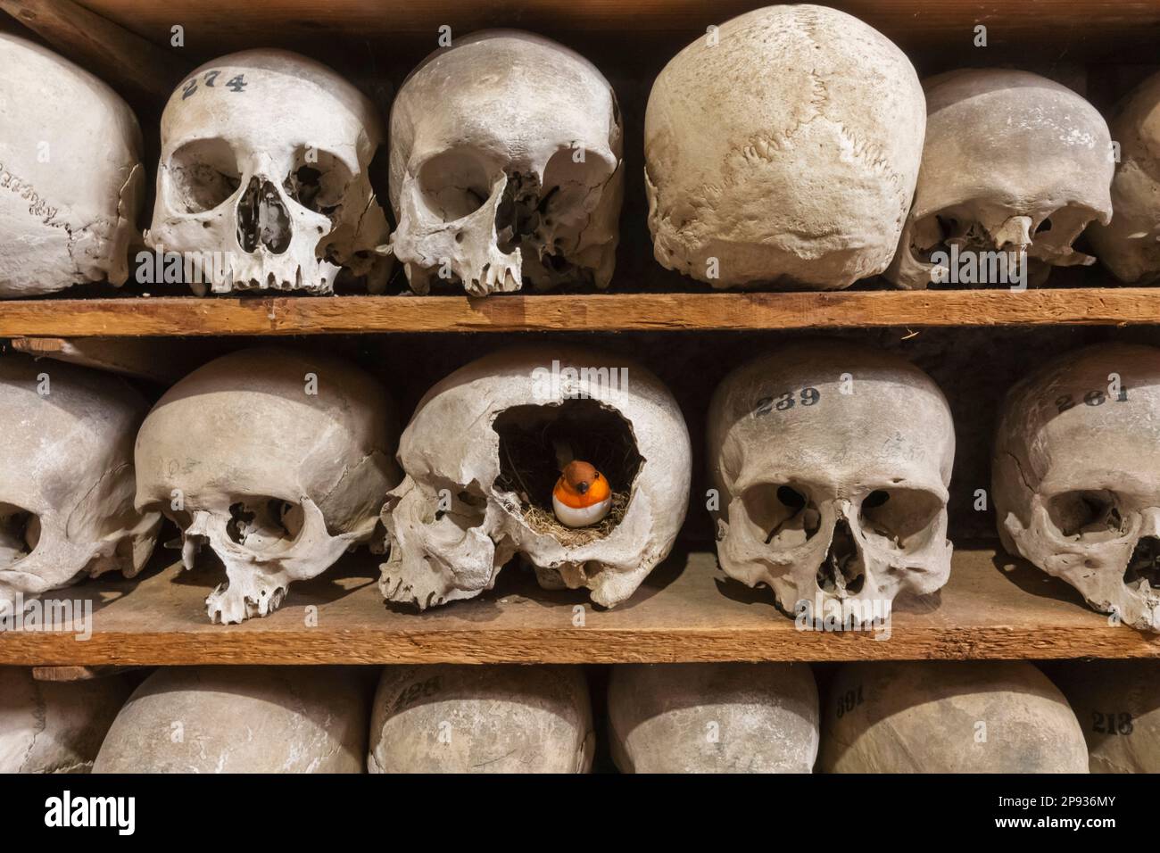 England, Kent, Hythe, St.Leonard's Church, Human Bones in The Crypt Stock Photo