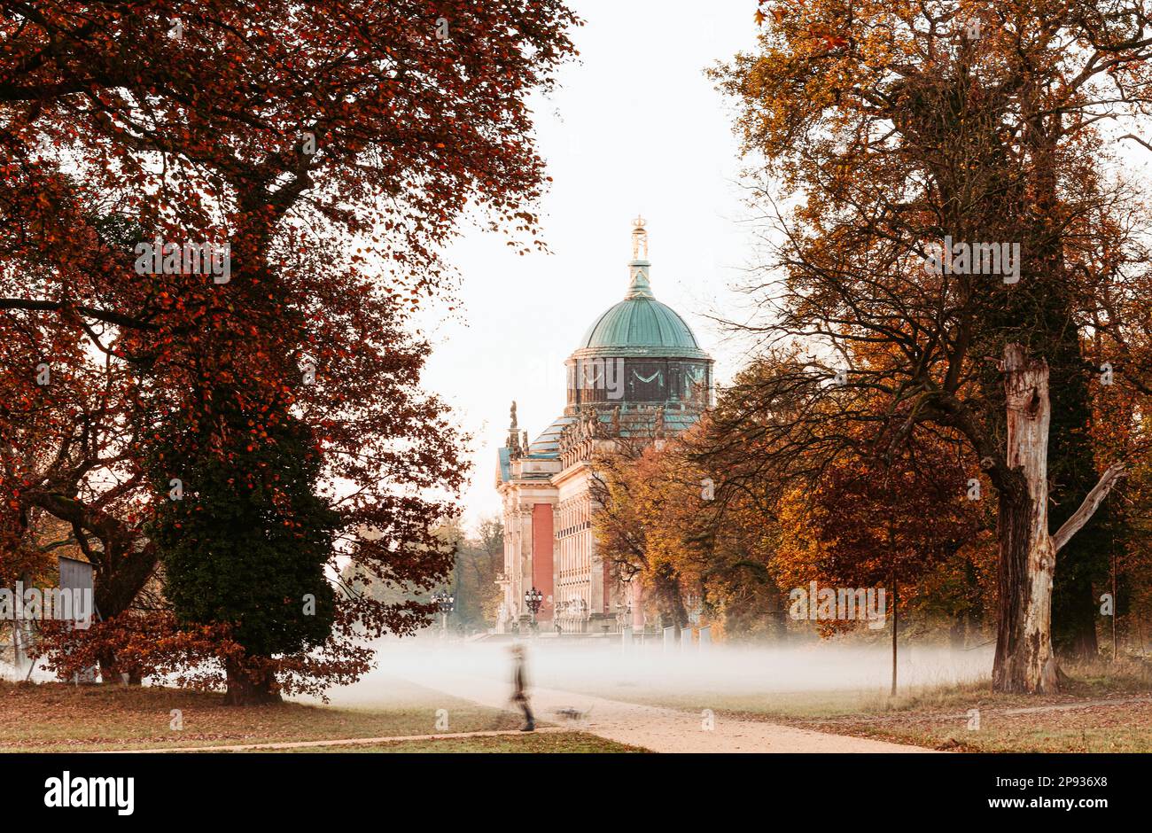 New Palace in Sanssouci Park in Potsdam in autumn with typical autumn colors on the trees Stock Photo