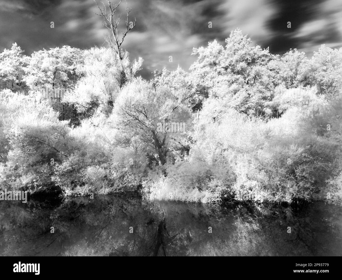 Dill land Black and White Stock Photos & Images - Alamy