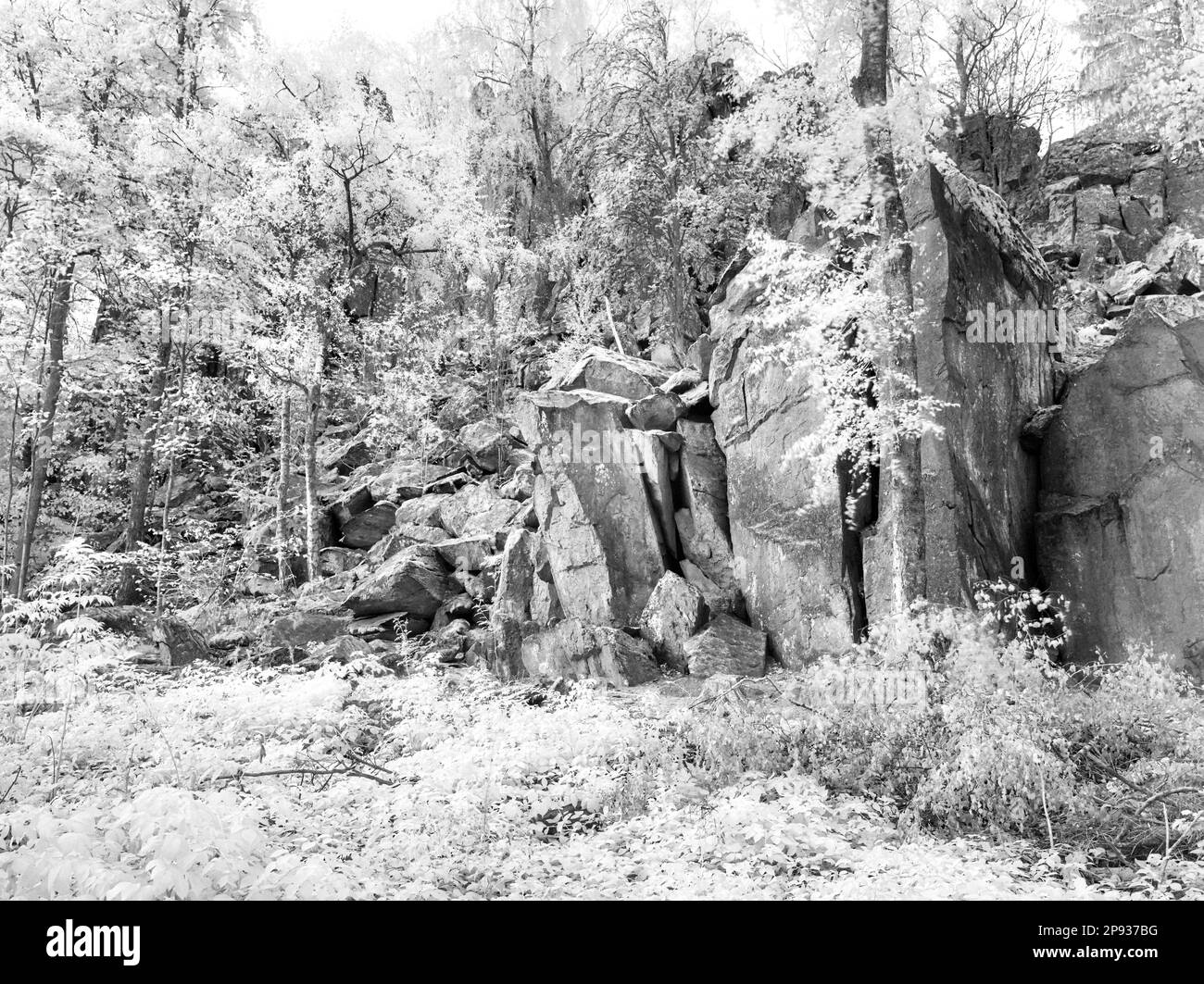 Biosphere preserve Black and White Stock Photos & Images Alamy