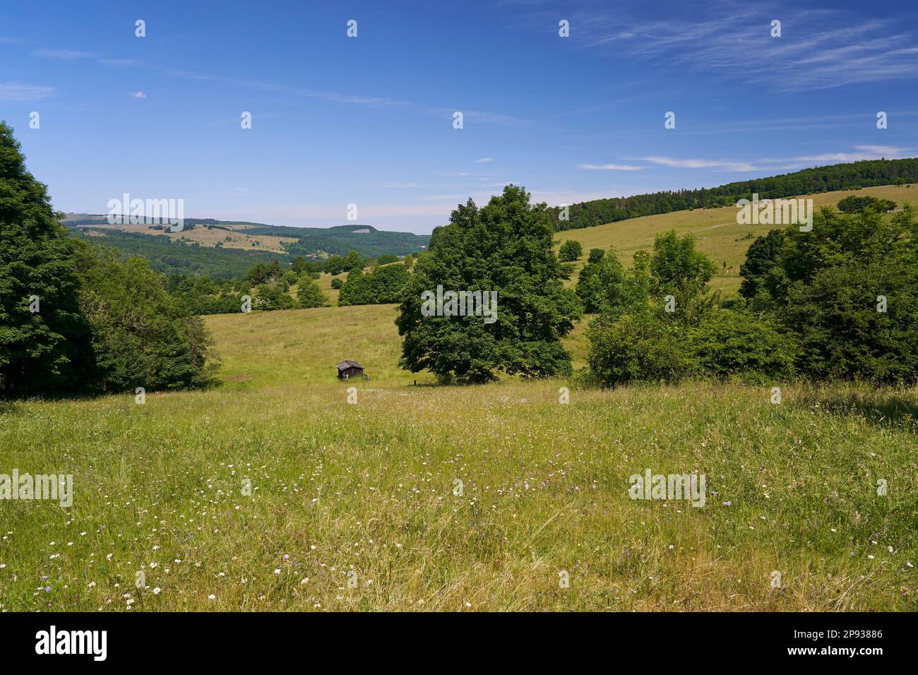 Landscape in the Upper Ulster Valley of the High Rhön, Rhön Biosphere