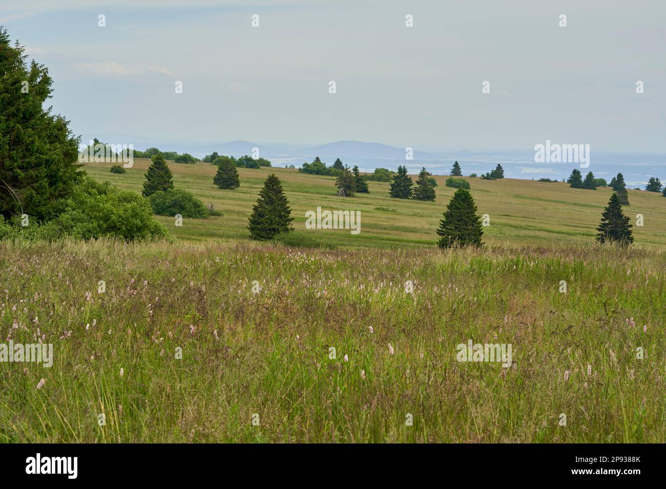 Lange Rhön nature reserve in the core zone of the Rhön biosphere reserve,  Bavarian Rhön, Rhön-Grabfeld district, Lower Franconia, Bavaria, Germany  Stock Photo - Alamy