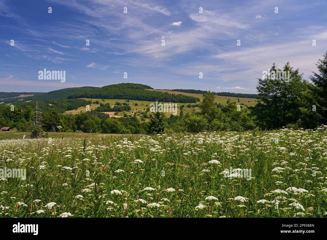 Landscape in the Upper Ulster Valley of the High Rhön, Rhön Biosphere ...