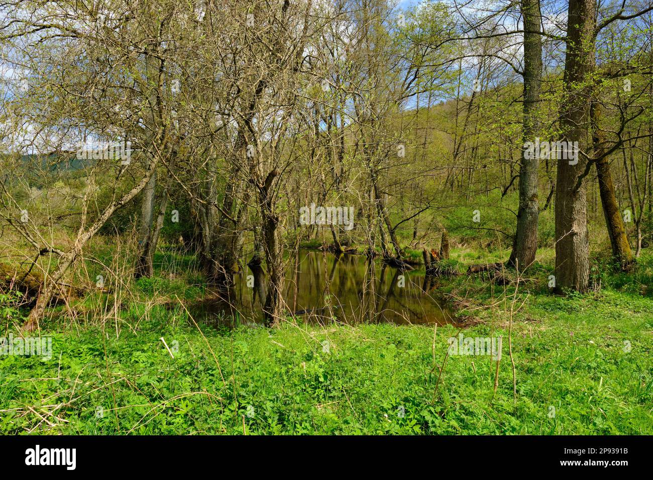 Landscape in Sinntal valley between Burgsinn and Rieneck, Main-Spessart county, Lower Franconia, Franconia, Bavaria, Germany Stock Photo