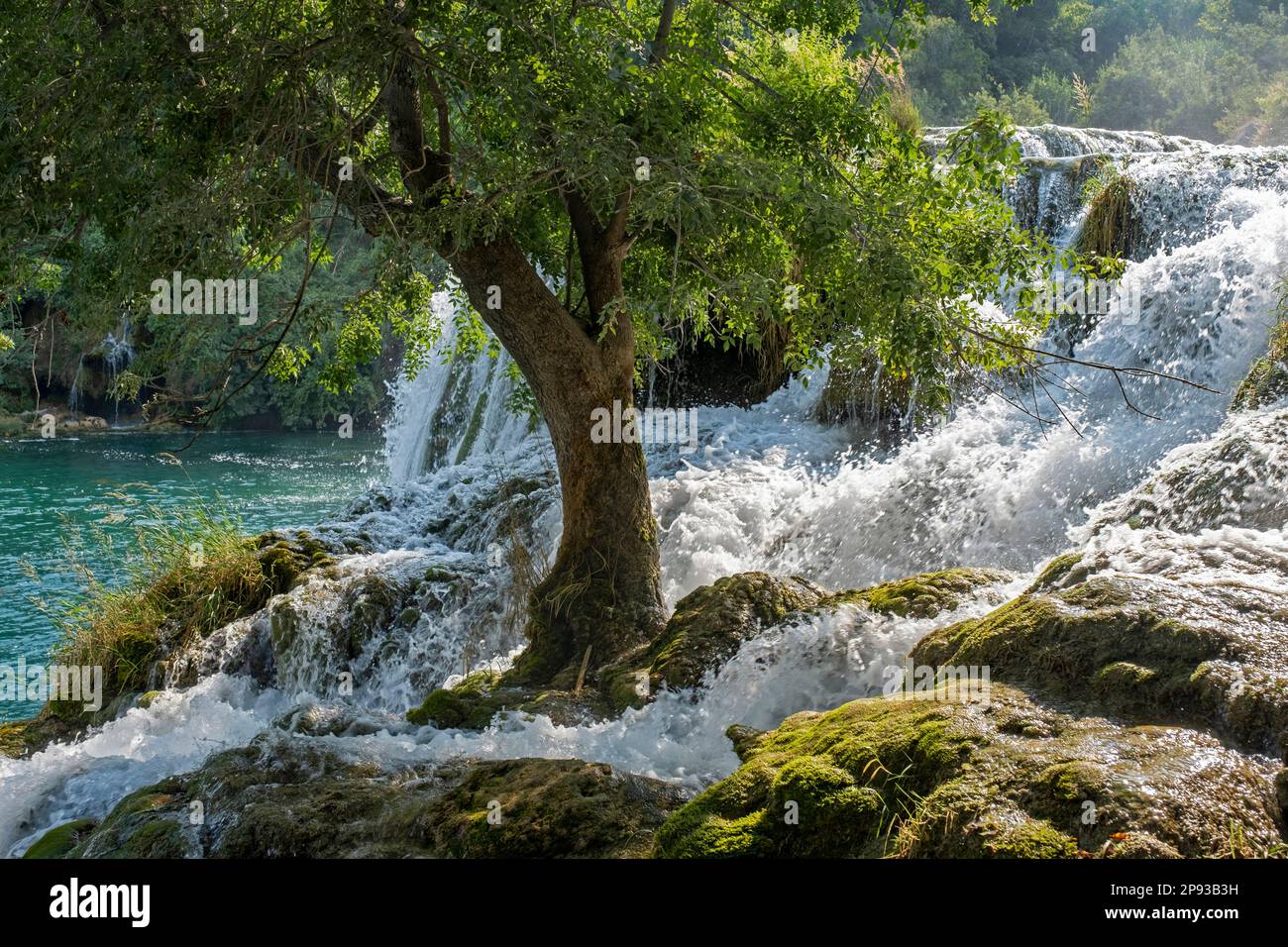Cascade at Skradinski buk in the Krka National Park near Šibenik in central Dalmatia, Šibenik-Knin County, Croatia Stock Photo
