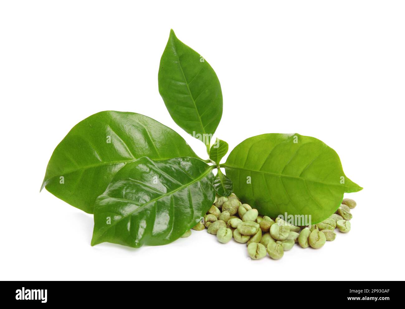 Green coffee beans and fresh leaves on white background Stock Photo - Alamy