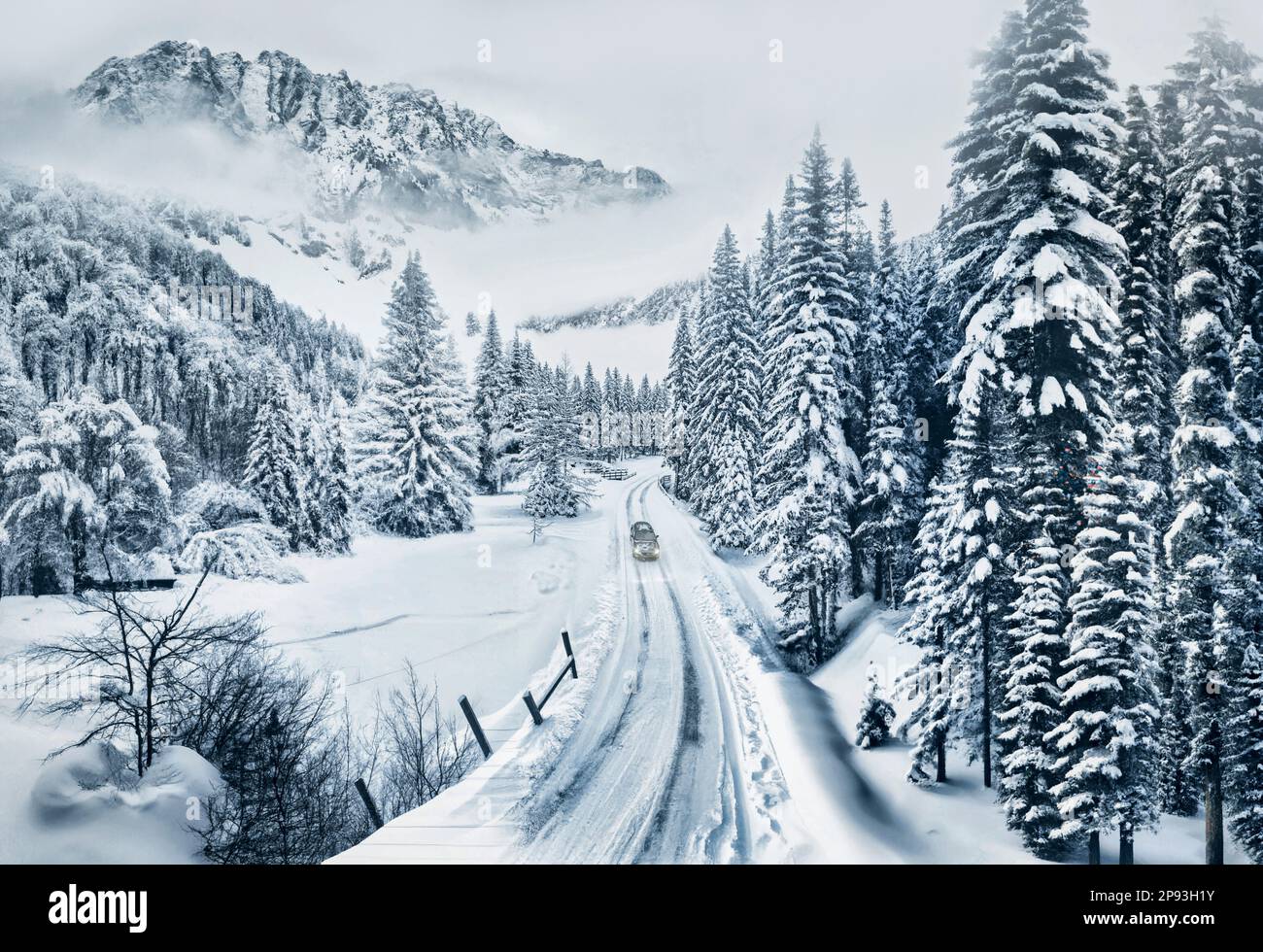 suv / crossover car driving on a road through a snowy forest, idyllic landscape [M] Stock Photo