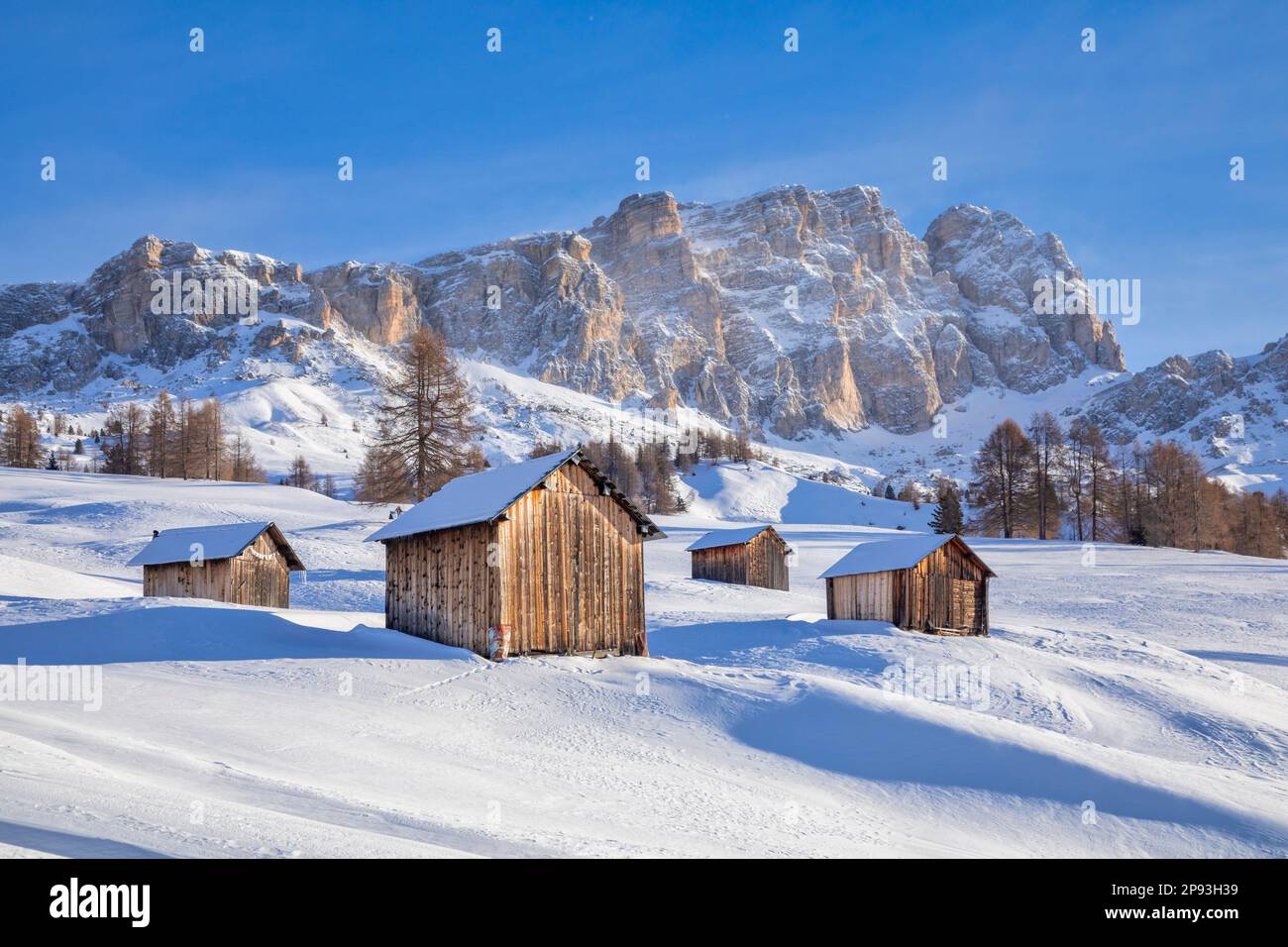 Italy, Veneto, province of Belluno, Livinallongo del Col di Lana, Mont da Contrin, old wooden barns on snowy pastures at the foot of the Setsas mountain range, Dolomites Stock Photo