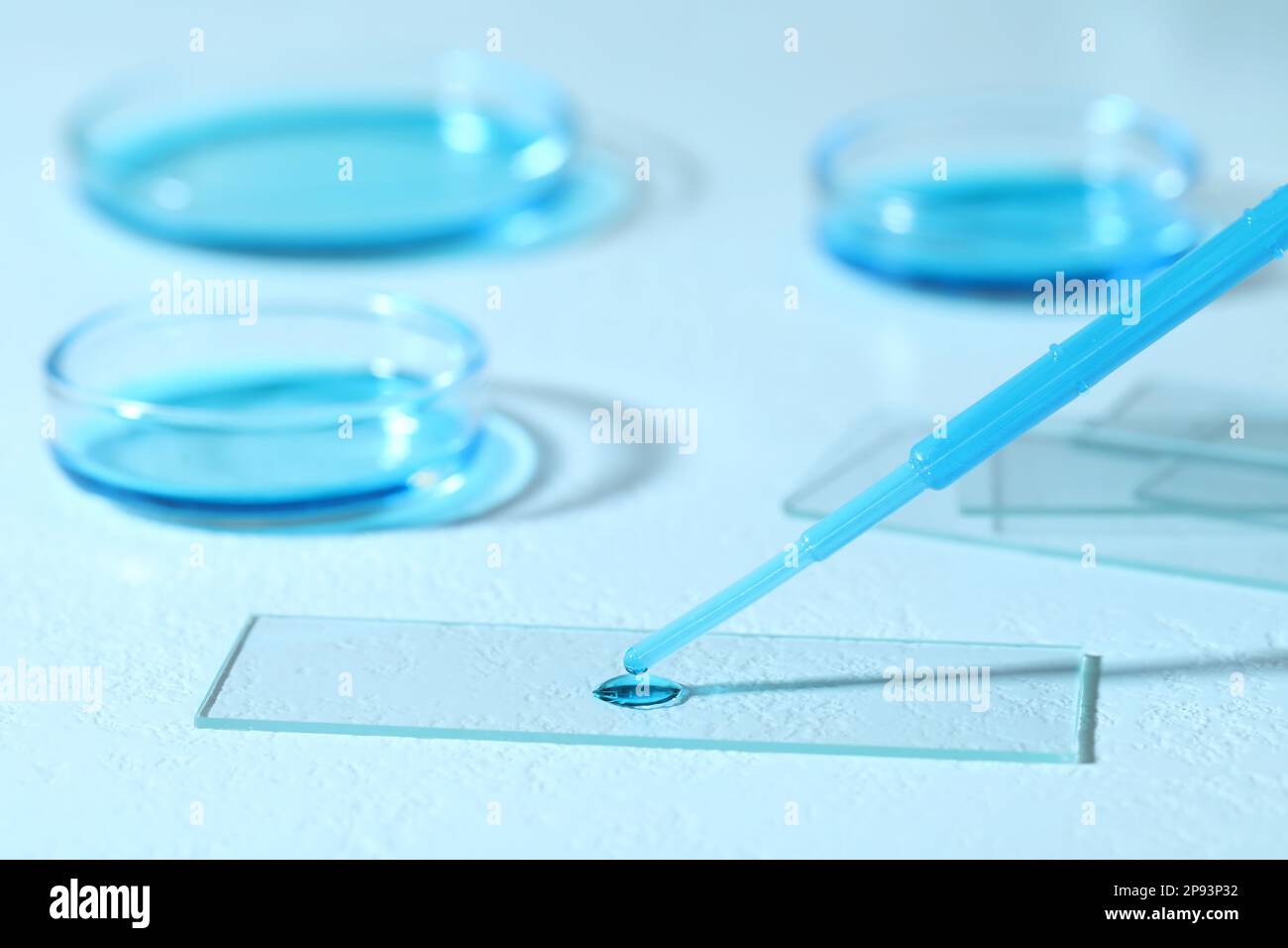 Dripping sample of light blue liquid onto microscope slide on white table Stock Photo