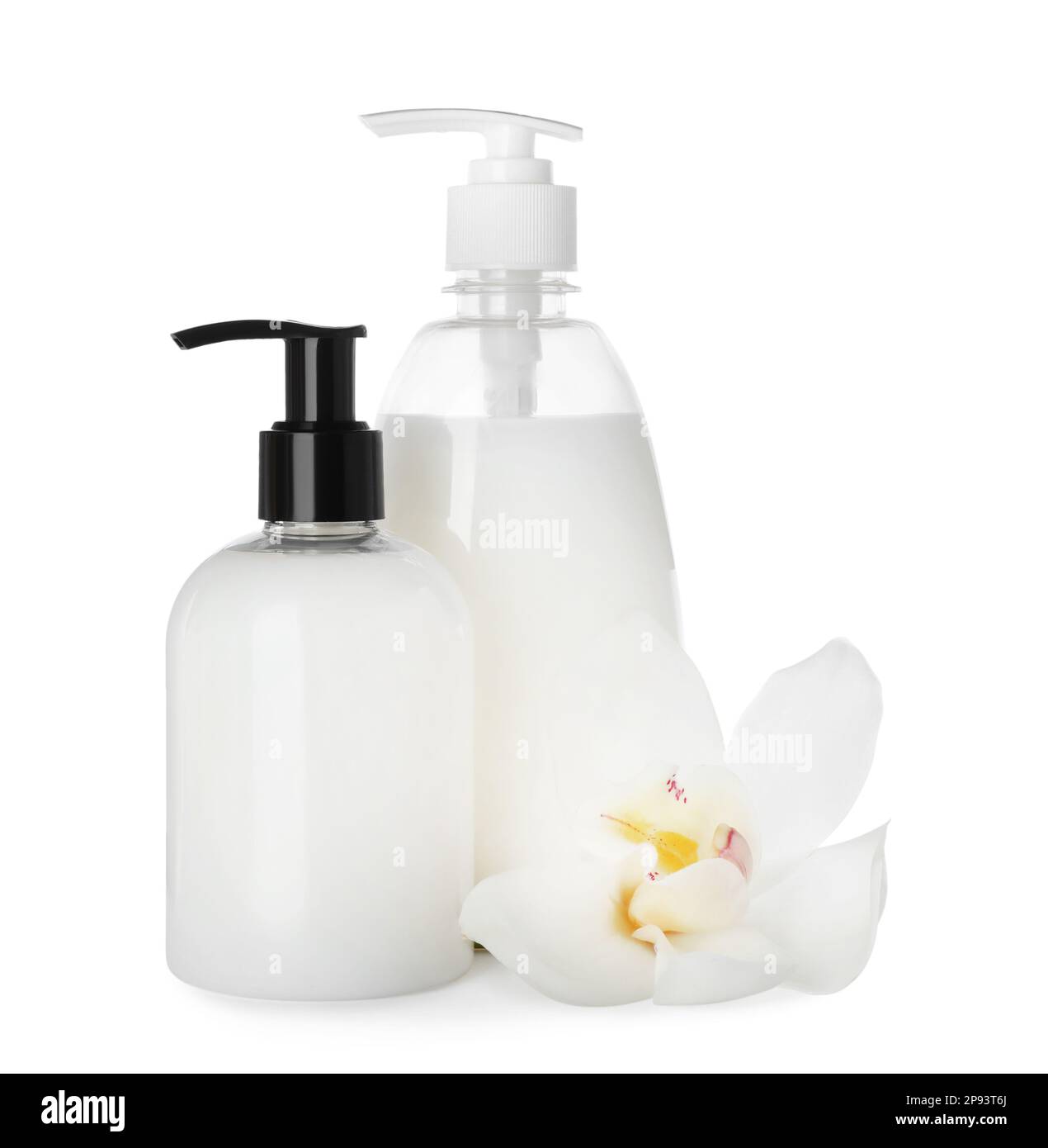 https://c8.alamy.com/comp/2P93T6J/dispensers-of-liquid-soap-and-orchid-flower-on-white-background-2P93T6J.jpg