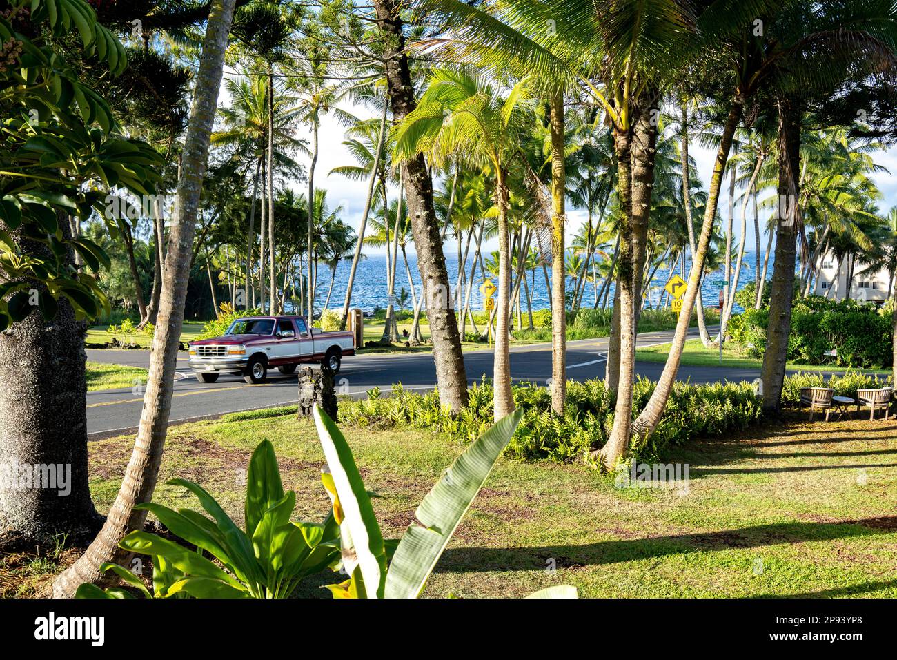 Pahoa, Big Island, Hawaii, USA, Polynesia, Oceania Stock Photo Alamy