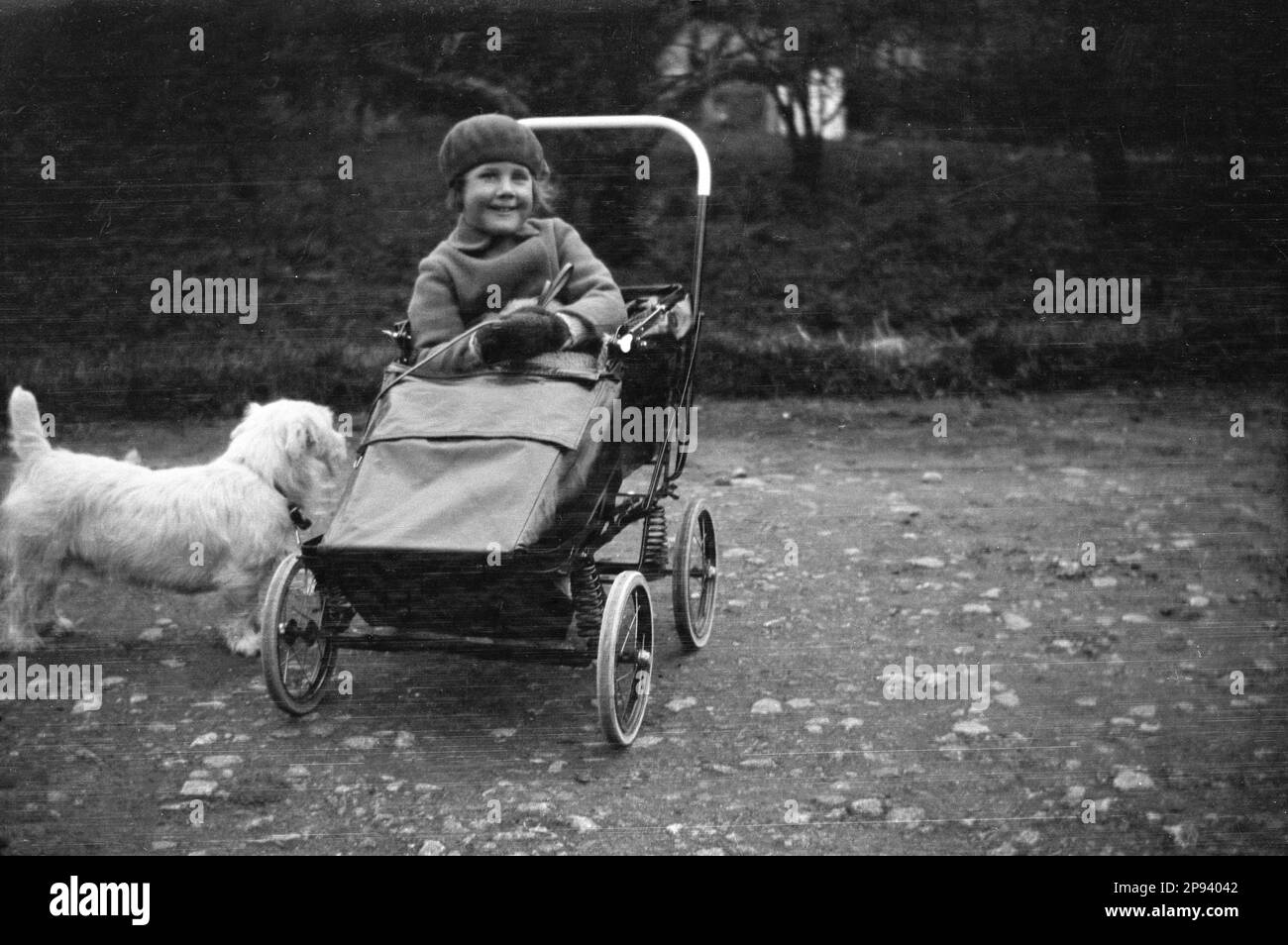 circa 1930s, historical, outside on a bumpy path, a sweet young girl, in coat and beret hat sitting in steel framed with suspension, pushchair, a lead in her hand holding onto to her pet dog, a small scottie, England, UK. Stock Photo