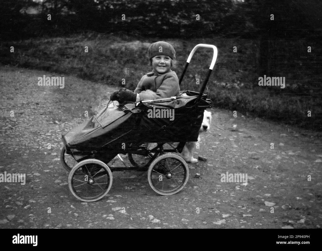 Bumpy dog hi-res stock photography and images - Alamy