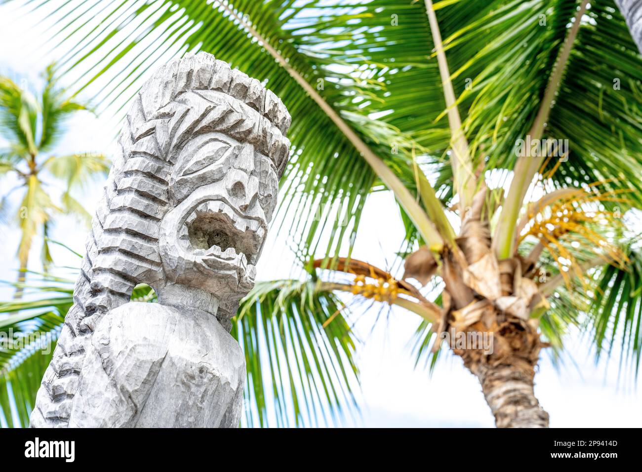 Wooden statue in Pu'uhonua O Honaunau National Historical Park, Big
