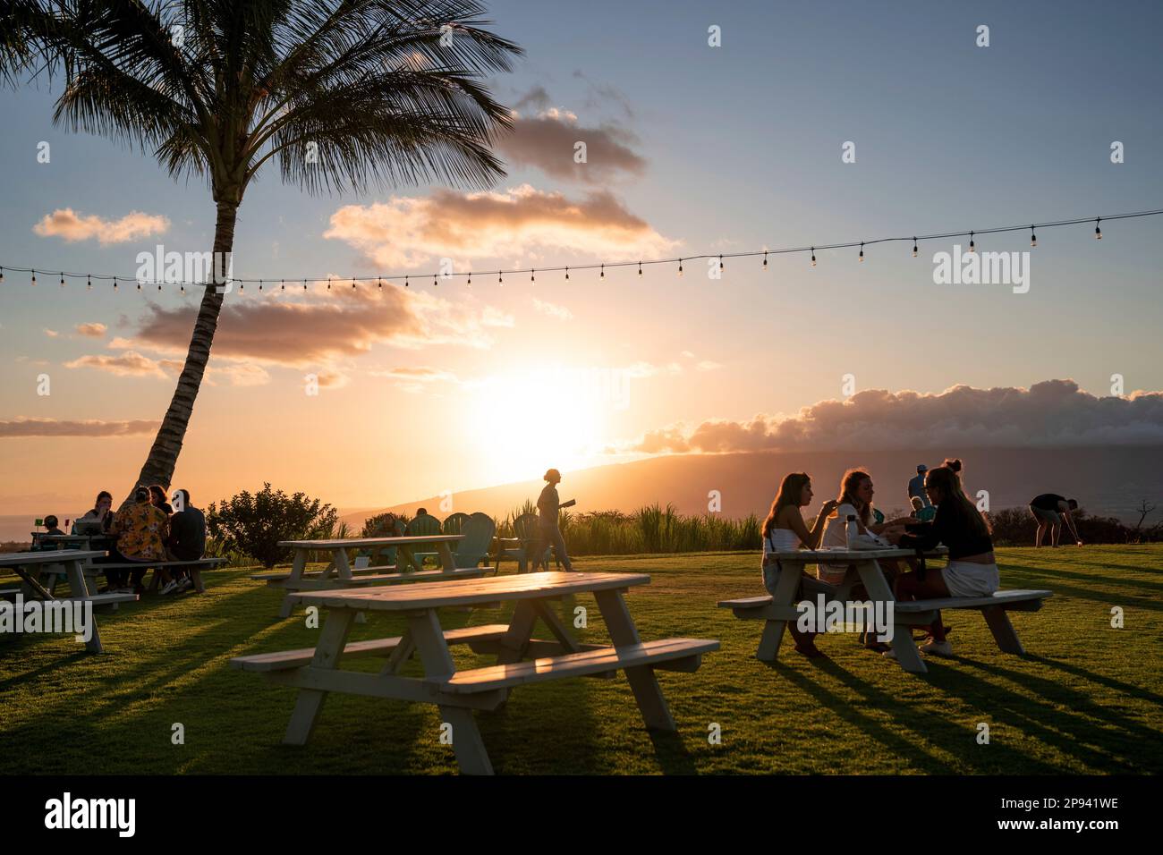 Open air Ocean Vodka Organic Farm and Distillery, Maui, Hawaii, USA
