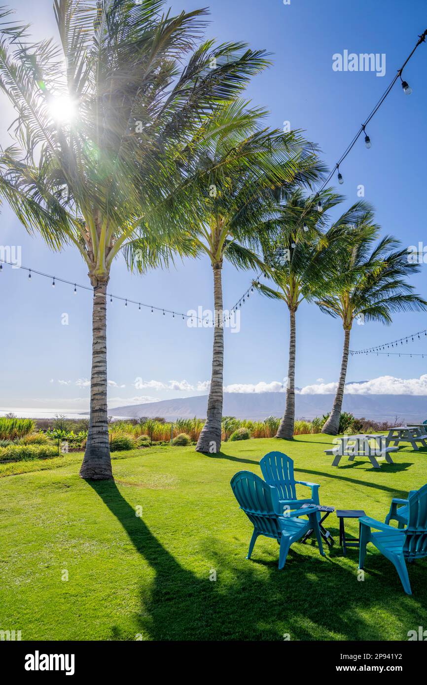 Open air Ocean Vodka Organic Farm and Distillery, Maui, Hawaii, USA