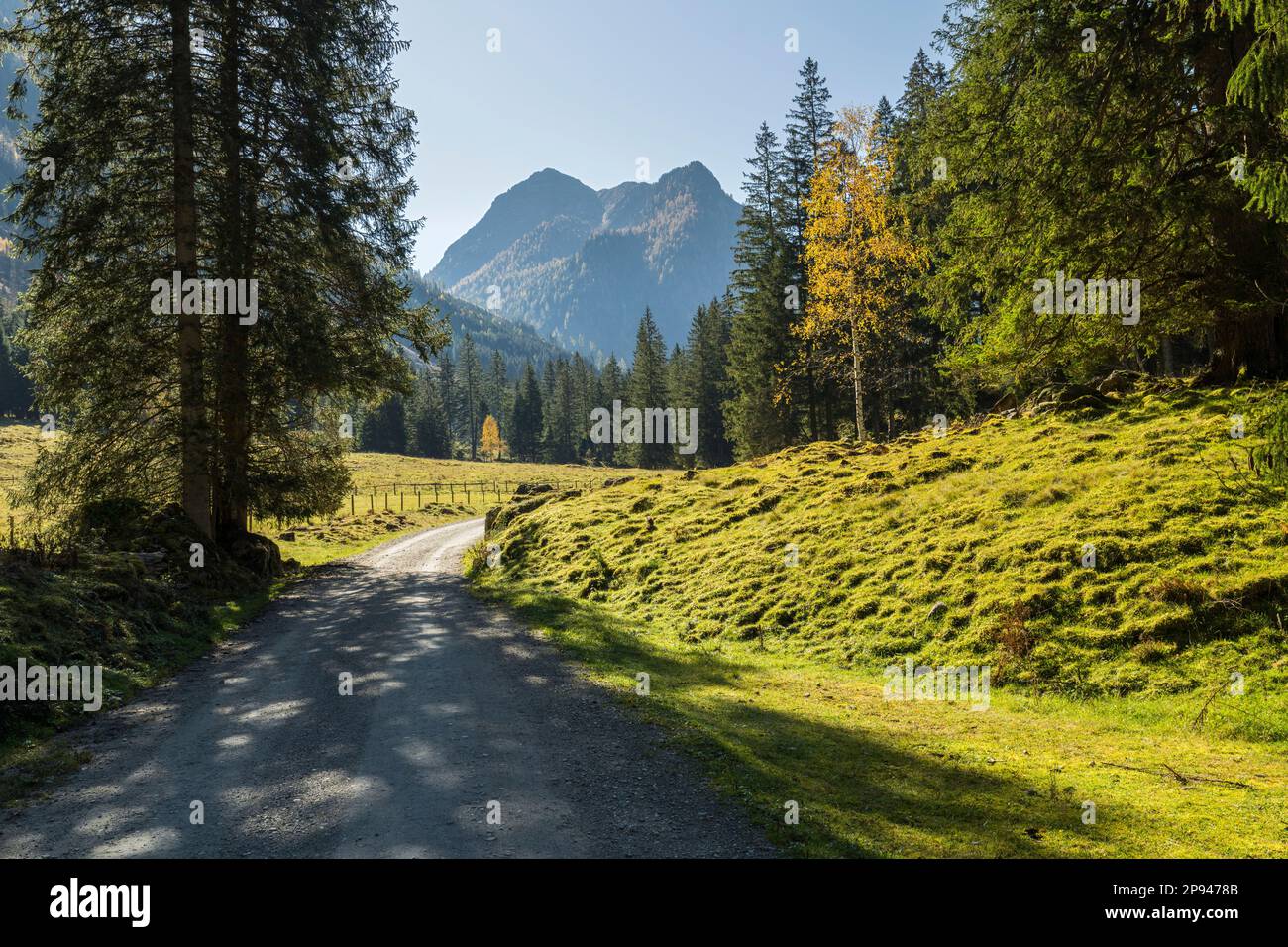 Obertal, Schladmimnger Tauern, Styria, Austria Stock Photo