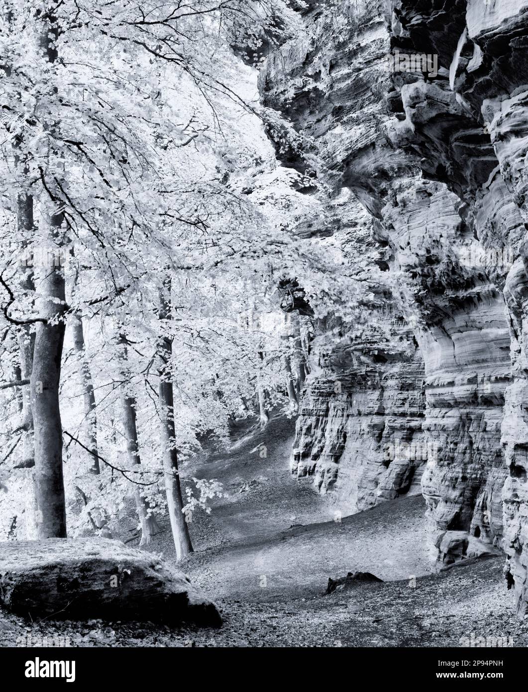 Europe, Germany, Rhineland-Palatinate, Nature Park and UNESCO Biosphere ...